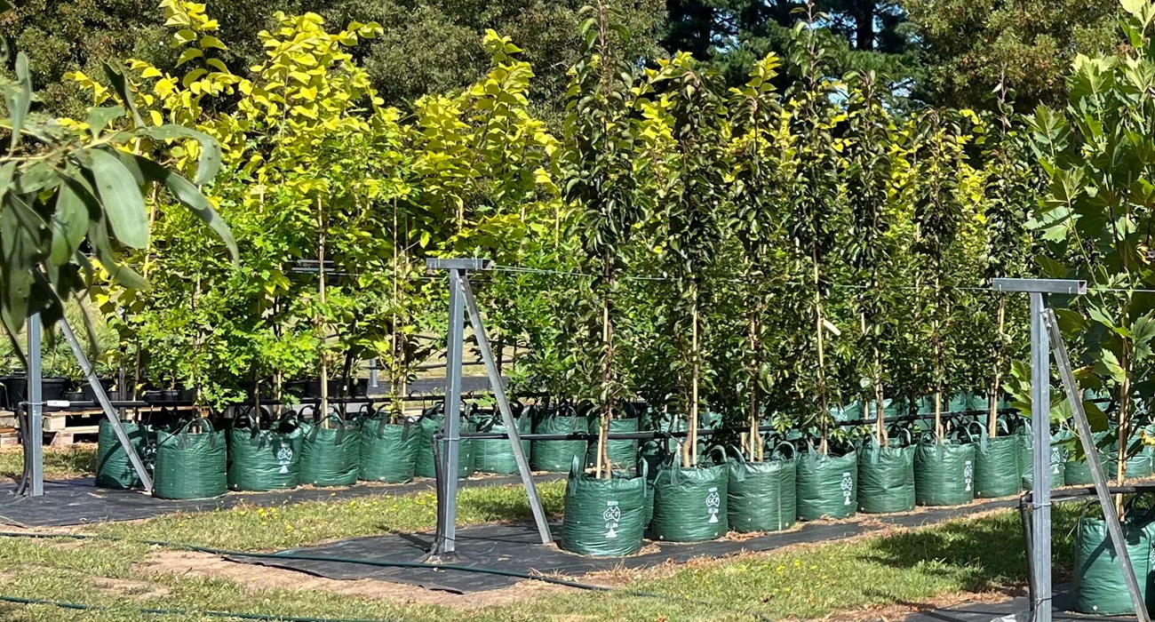 Winwood Advanced Trees nursey