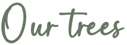 WINWOOD ADVANCED TREES